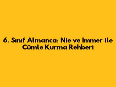 6. Sınıf Almanca: Nie ve Immer ile Cümle Kurma Rehberi