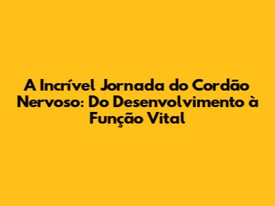 A Incrível Jornada do Cordão Nervoso: Do Desenvolvimento à Função Vital