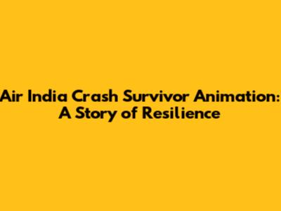 Air India Crash Survivor Animation: A Story of Resilience