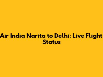 Air India Narita to Delhi: Live Flight Status