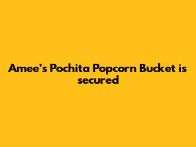 Amee’s Pochita Popcorn Bucket is secured