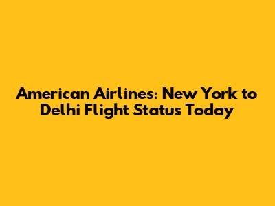 American Airlines: New York to Delhi Flight Status Today