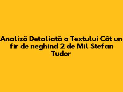 Analiză Detaliată a Textului "Cât un fir de neghind 2" de Mil Stefan Tudor