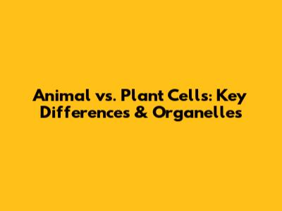 Animal vs. Plant Cells: Key Differences & Organelles