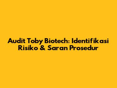 Audit Toby Biotech: Identifikasi Risiko & Saran Prosedur