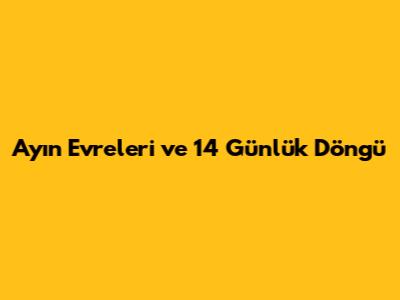 Ay'ın Evreleri ve 14 Günlük Döngü