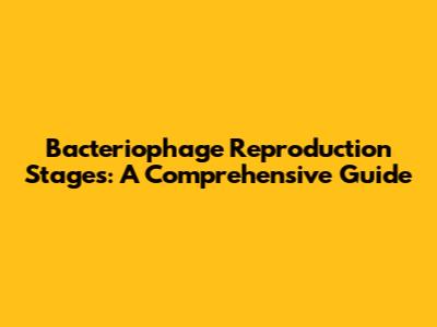 Bacteriophage Reproduction Stages: A Comprehensive Guide