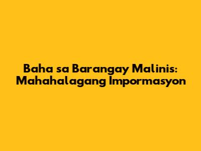 Baha sa Barangay Malinis: Mahahalagang Impormasyon