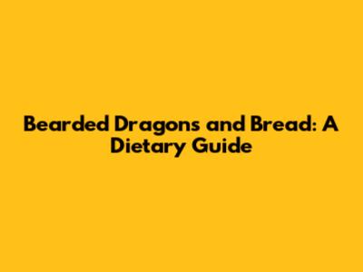 Bearded Dragons and Bread: A Dietary Guide
