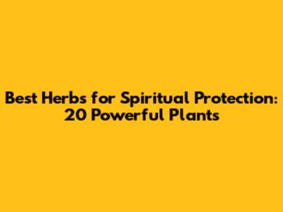 Best Herbs for Spiritual Protection: 20 Powerful Plants