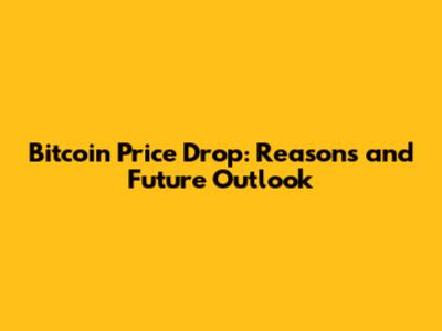 Bitcoin Price Drop: Reasons and Future Outlook