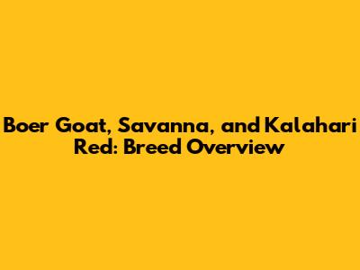 Boer Goat, Savanna, and Kalahari Red: Breed Overview