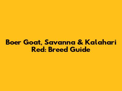 Boer Goat, Savanna & Kalahari Red: Breed Guide