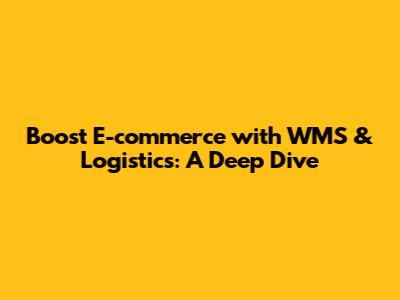 Boost E-commerce with WMS & Logistics: A Deep Dive