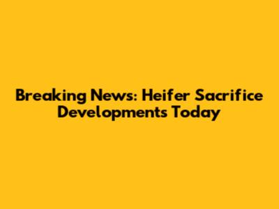 Breaking News: Heifer Sacrifice Developments Today
