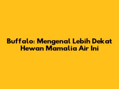 Buffalo: Mengenal Lebih Dekat Hewan Mamalia Air Ini