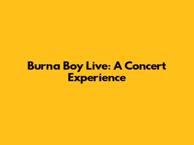 Burna Boy Live: A Concert Experience