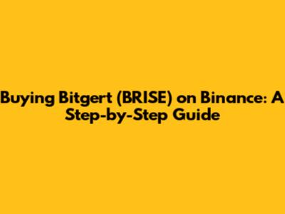 Buying Bitgert (BRISE) on Binance: A Step-by-Step Guide