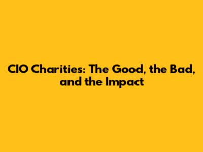 CIO Charities: The Good, the Bad, and the Impact