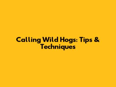 Calling Wild Hogs: Tips & Techniques