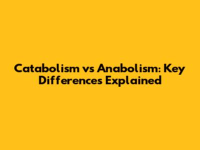 Catabolism vs Anabolism: Key Differences Explained
