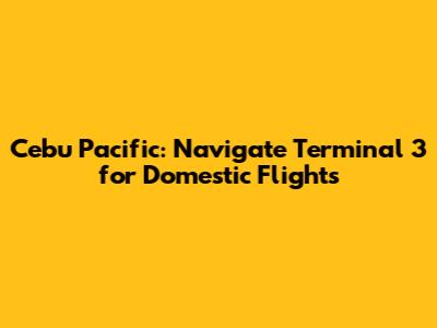 Cebu Pacific: Navigate Terminal 3 for Domestic Flights