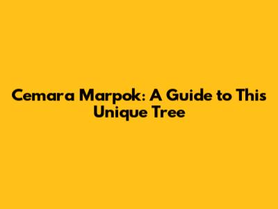 Cemara Marpok: A Guide to This Unique Tree