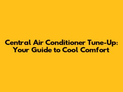 Central Air Conditioner Tune-Up: Your Guide to Cool Comfort