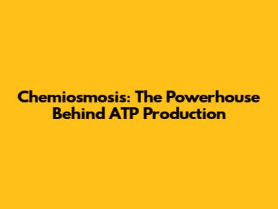 Chemiosmosis: The Powerhouse Behind ATP Production