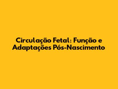 Circulação Fetal: Função e Adaptações Pós-Nascimento