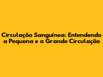 Circulação Sanguínea: Entendendo a Pequena e a Grande Circulação