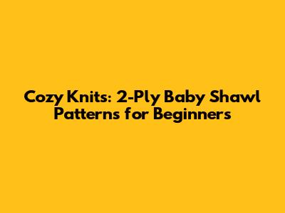 Cozy Knits: 2-Ply Baby Shawl Patterns for Beginners