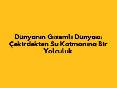 Dünya'nın Gizemli Dünyası: Çekirdekten Su Katmanına Bir Yolculuk