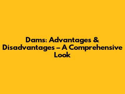 Dams: Advantages & Disadvantages – A Comprehensive Look