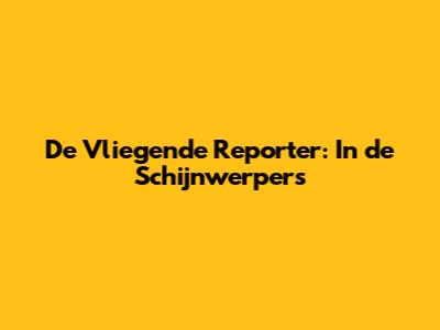 De Vliegende Reporter: In de Schijnwerpers