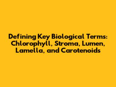 Defining Key Biological Terms: Chlorophyll, Stroma, Lumen, Lamella, and Carotenoids