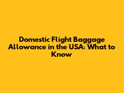 Domestic Flight Baggage Allowance in the USA: What to Know