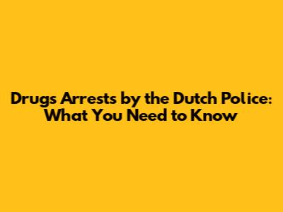 Drugs Arrests by the Dutch Police: What You Need to Know
