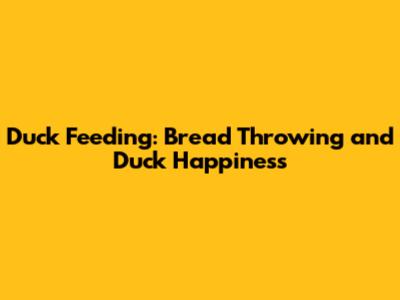 Duck Feeding: Bread Throwing and Duck Happiness