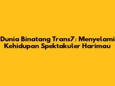 Dunia Binatang Trans7: Menyelami Kehidupan Spektakuler Harimau