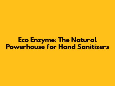 Eco Enzyme: The Natural Powerhouse for Hand Sanitizers