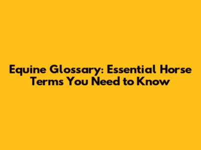 Equine Glossary: Essential Horse Terms You Need to Know