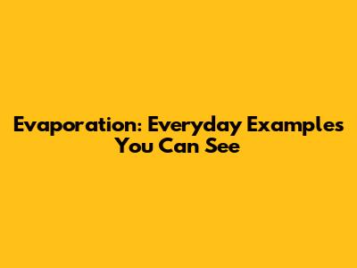 Evaporation: Everyday Examples You Can See