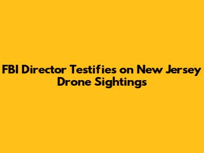 FBI Director Testifies on New Jersey Drone Sightings