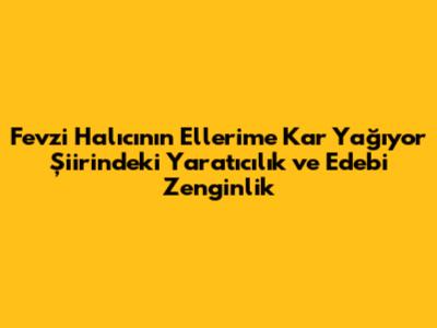 Fevzi Halıcı'nın 'Ellerime Kar Yağıyor' Şiirindeki Yaratıcılık ve Edebi Zenginlik