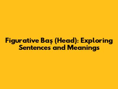 Figurative 'Baş' (Head): Exploring Sentences and Meanings