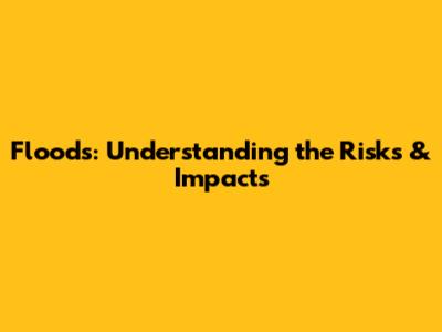 Floods: Understanding the Risks & Impacts