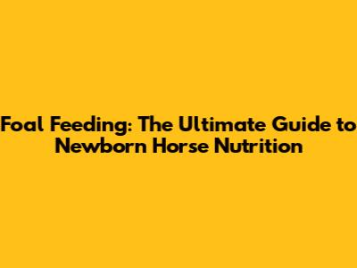 Foal Feeding: The Ultimate Guide to Newborn Horse Nutrition