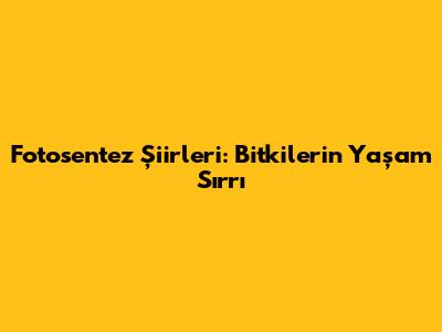 Fotosentez Şiirleri: Bitkilerin Yaşam Sırrı