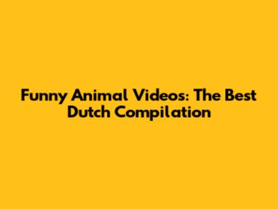 Funny Animal Videos: The Best Dutch Compilation